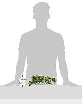 Exo Terra Plastic Terrarium Plant, Small, Croton - color: Croton, size: Small