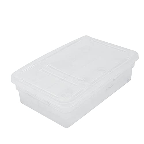 POPETPOP Hatching Box for Reptiles Lightweight Incubation Container for Snakes Lizards and Geckos Transparent Design for Visibility Safe Plastic Material for Growth