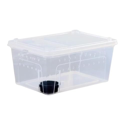 Reptile Breeding Case Feeding Box Terrarium Animal Transparent PP Container Easy Observation Suitable for Pet Hatching Transport Breeding, 38x24x17cm - size: 38x24x17cm