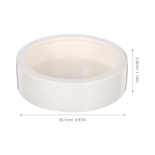 2 Pcs Ceramics Reptile Feeding Bowls for Small Reptile Animals and Lizards, White Round Bowls with Stable Desktop Standing and Safe Material, for Food and Water Storage
