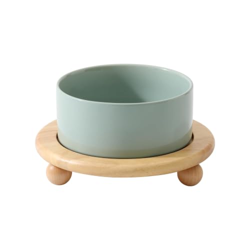 Havniva Raised Cat Bowl 6.1” Elevated Ceramic Cat Food and Water Bowl | Cat Bowls Elevated, Whisker Friendly Cat Bowl, Non-Slip Wood Stand, Food-Grade Ceramic, Wide Opening, Dishwasher Safe - color: Light Green, size: Bowl+Tray - 6.1"