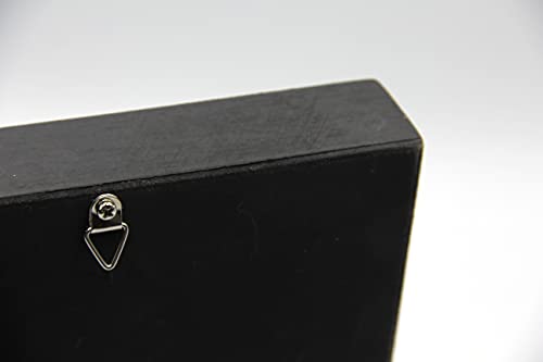 Real Giant Bird Eating Tarantula EURYPEIMA SPINCRUS Spider Taxidermy Transparent Boxed Display (Black Wooden Box) - color: Black Wooden Box