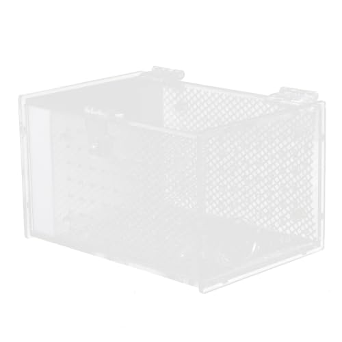 White Acrylic Reptile Breeding Box Ventilation Holes and Moisture, Spider Feeding Container Suitable for Home Use and Display