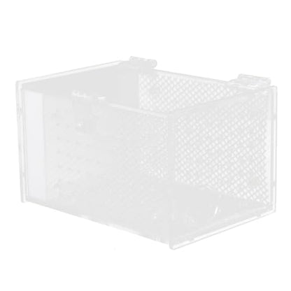 White Acrylic Reptile Breeding Box Ventilation Holes and Moisture, Spider Feeding Container Suitable for Home Use and Display