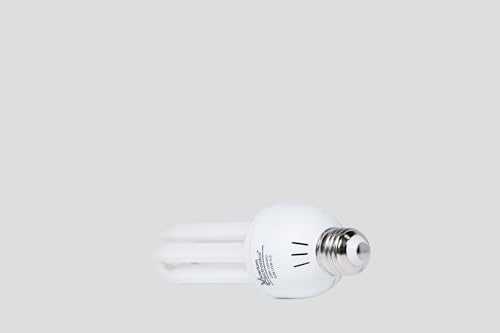 Compact Bird Lamp 23 Watts 10% UVB – Full Spectrum UV Light Bulbs for Bird Light Lamp Use in Indoor Habitats and Aviaries, Long Lasting High CRI Easy to Use Avian Illumination