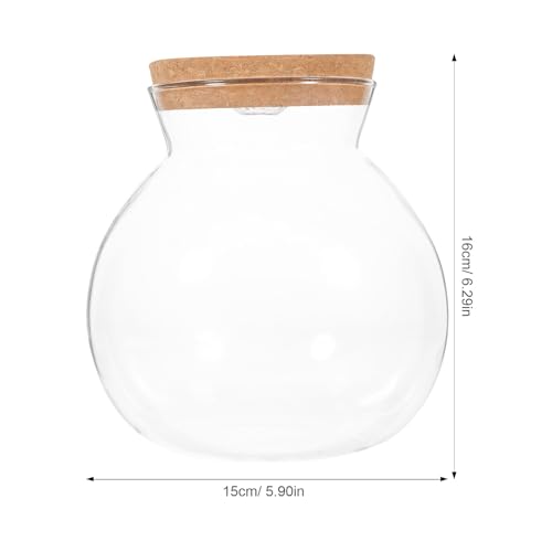 Abaodam Glass Terrarium Jar with Led Light Base, Small Container for Indoor Plants, DIY Micro Landscape Ecosystem Kit for Fish Tank Desktop Decor