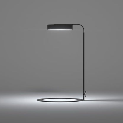 LED Desk Lamp with Magnetic Head – 3 Modes & USB Timer, Stepless Dimming, Full Spectrum Light for Terrariums, Plants, Bonsai, or Minimalist Ambient Lighting for Bedroom, Office, Workspace