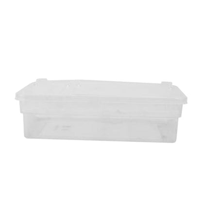 Plastic Reptile Hatching Box Easy Clean Incubator for Snakes Lizards Reptiles Visible Design Lightweight for Convenient Storage Hatchery Container