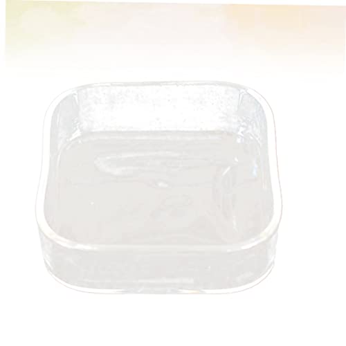 HEMOTON Lizard Feeder Bowl Transparent Glass Pet Feeding Container for Reptiles and Animals for Tortoises Snails and Item Storage Easy to