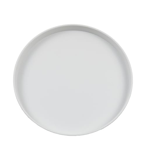 OMEM Reptile Food Bowl Water Dish,Feeding Dish, Birds Bowl (L, White) - color: White, size: L