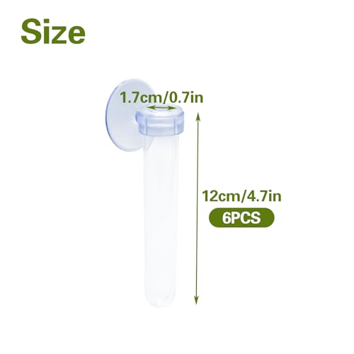6 PCS Window Propagation Stations, Clear Plastic Plant Propagation Tubes with Suction Cups, Wall Hanging Terrarium Water Plant Holders for Home & Office Decor, Easy to Install