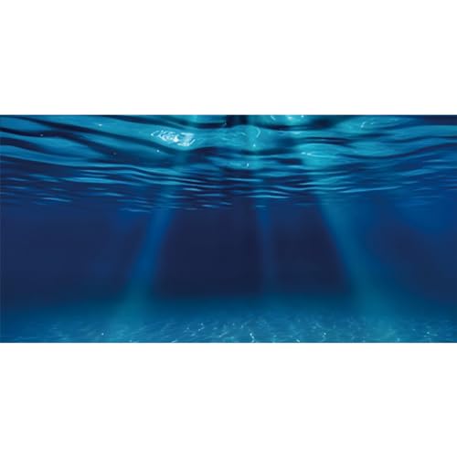 AWERT 24x12 inches Ocean Floor Aquarium Background Undersea Theme Aquarium Background Underwater Fish Tank Background | AWERT Ocean Floor Deep Sea Vinyl Terrarium Background - size: 24x12in/60x30cm