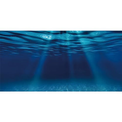 AWERT 24x12 inches Ocean Floor Aquarium Background Undersea Theme Aquarium Background Underwater Fish Tank Background | AWERT Ocean Floor Deep Sea Vinyl Terrarium Background - size: 24x12in/60x30cm