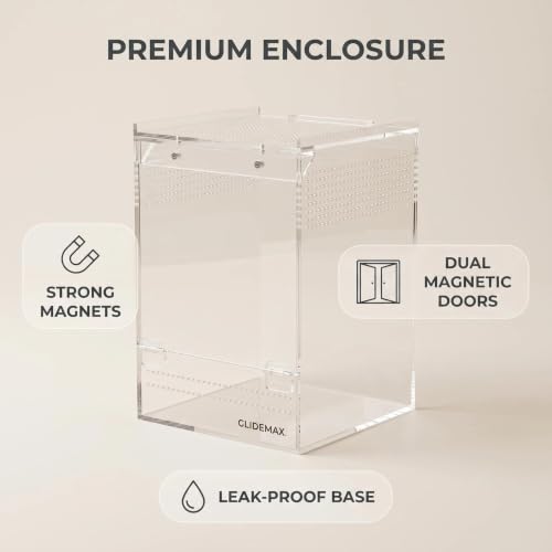 Jumping Spider Enclosure, 6x6x9 Inch Upgraded Acrylic Tarantula Terrarium Habitat with Dual Magnetic Doors, Fully Assembled Escape-Proof Insect Tank for Mantis, Gecko, Lizard & Small Reptiles