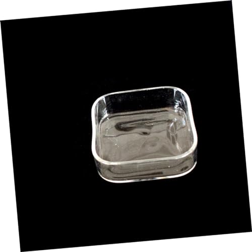 HEMOTON Lizard Feeder Bowl Transparent Glass Pet Feeding Container for Reptiles and Animals for Tortoises Snails and Item Storage Easy to