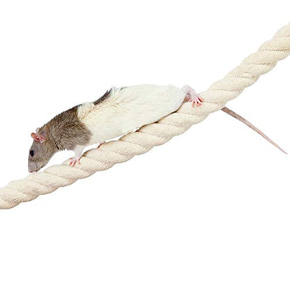 42 Inch Natural Rope (Regular) - Flexible Bendable Climbing Rope Perch Cage Accessory Toy - Sugar Gliders, Squirrels, Degus, Marmosets, Monkeys, Parrots, Birds, Rats & Other Small Pets