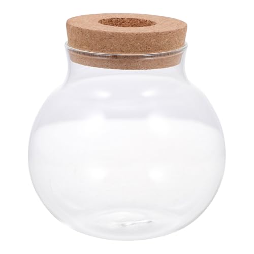 Glass Ecological Bottle with Lid for Fish Keeping and Moss Micro Landscaping Terrarium Home Decorative Glass Container for Small Aquatic Plants and DIY Ecosystems