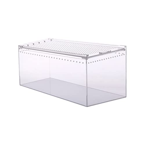 Climbing Pet Feeding Box Transparent Leak Reptile Breeding Container for Spiders Geckos Frogs Snakes for Safe Transport Habitat Observation