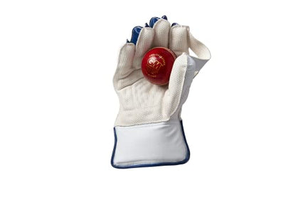 Gunn & Moore GM Aion Premium Cricket Wicket Keeping Premium Gloves ' Various Sizes (Adult/Youth/Boys Size) - style: Adult Size