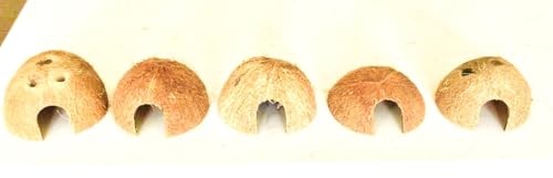5 Pack Coconut Half Shell, Handicraft Tropical Decorations, Seed Germination, Planter, Hideout for Betta Fish & Shrimp, Activated Charcoal & Outdoor Cooking, Size 2’’X 3.5’’