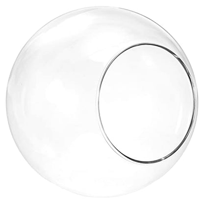 PATIKIL Round Globe Terrarium Air Plant Planter, 5.4 Inch High Borosilicate Glass Table Decorations for Succulent, Tillandsia, Clear - size: 5.4 Inch