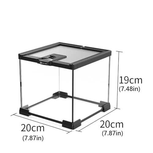 Reptile Float Glass Growth Tank, Transparent Reptile Terrarium with Wiring Hole, Eco Rainforest Feeding Box, Reptile Breeding Box Suitable for Stacking, Top Screen Ventilation Escape Proof Lid, - color: B