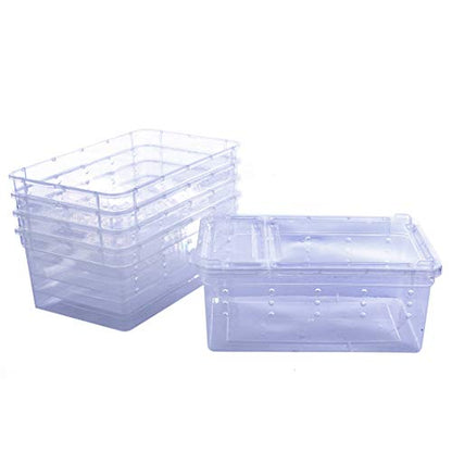 Breeding Box 5pcs, Petforu Worm Dish Reptile Feeding Box Food Container Small Size (Transparent White S)
