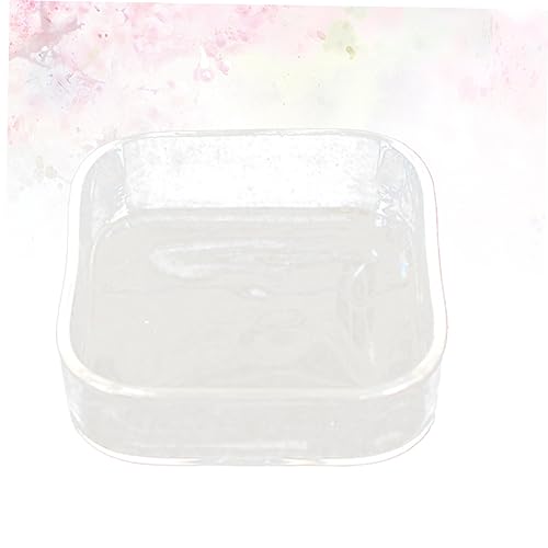 HEMOTON Lizard Feeder Bowl Transparent Glass Pet Feeding Container for Reptiles and Animals for Tortoises Snails and Item Storage Easy to