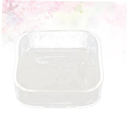 HEMOTON Lizard Feeder Bowl Transparent Glass Pet Feeding Container for Reptiles and Animals for Tortoises Snails and Item Storage Easy to