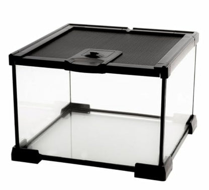 AWXZOM Mini Reptile Glass Terrarium Tank, cage for Tarantula Sling Geckos, Frog, Lizards, Chameleons,Turtles Snake Snail Insect Hermit Crab Isopods Reptiles Enclosure (7.9x7.9x5.7inch) - size: 7.9x7.9x5.7inch