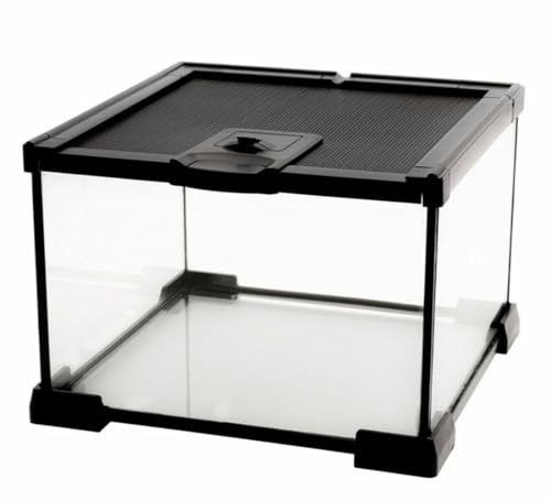 AWXZOM Mini Reptile Glass Terrarium Tank, cage for Tarantula Sling Geckos, Frog, Lizards, Chameleons,Turtles Snake Snail Insect Hermit Crab Isopods Reptiles Enclosure (7.9x7.9x5.7inch) - size: 7.9x7.9x5.7inch