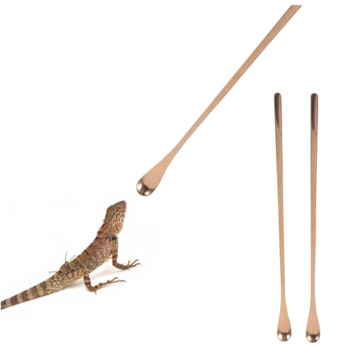 COLLBATH 2pcs Long Handle Lizard Feeding Set Reusable Reptile Food Scoop Tool for Mixing and Wet Food for Lizards and Animals - color: Rose Gold