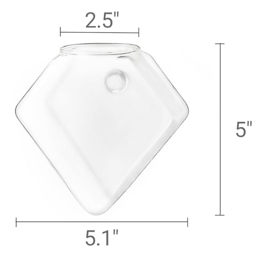 Mkono Wall Planter Hanging Propagation Stations Flower Vase Glass Pots Holder for Hydroponic Plants, Indoor Home Office Living Room Bathroom Decor Gifts, 3 Pack