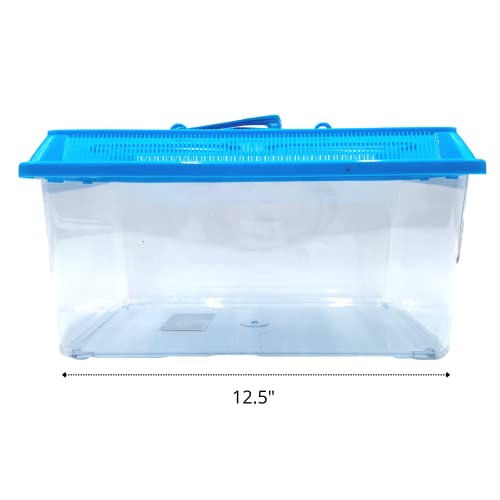 Needzo Hermit Crab Tank with Carrier Handles, Plastic Terrariums for Reptiles, Crabs, Lizards, and More, 12.5 inches