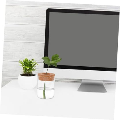 TOYANDONA 2pcs Glass Terrarium Planter Indoor Ecosystem Decoration with Air Circulation for Hydroponic Plants and Moss Home Office Desk Decor
