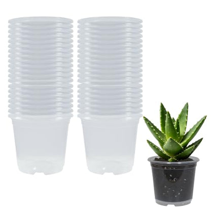 40 Pack 6 Inch Clear Nursery Pots with Drainage Plant Pots for Plants Transparent Potting Containers for Plants Seeding Starter Pot (Clear, 6 Inch 40 Pcs) - size: Clear, 6 Inch 40 Pcs