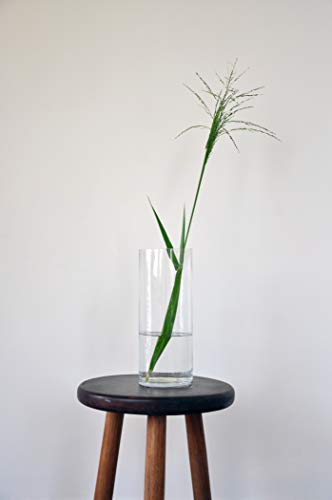 WGV Cylinder Vase, Width 6", Height 10", Clear Glass Container Terrarium Candle Holder for Wedding Centerpiece, Party Event, Home Office Decor, 1 Piece - size: 6"x10"H