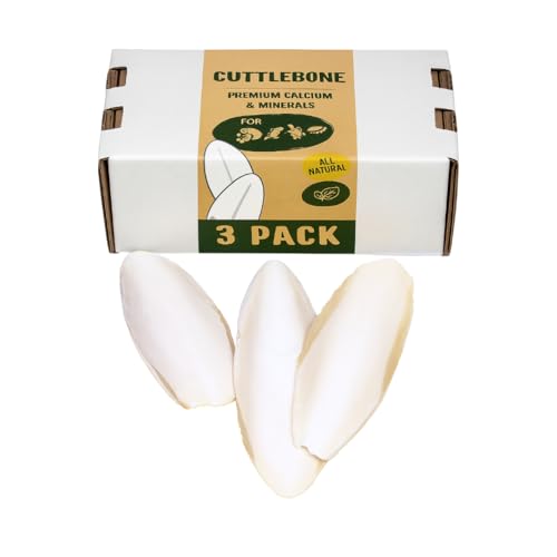 Cuttlebone 3-Pack Natural Calcium Supplement for Isopods, Birds, Parakeets, Cockatiels, Canaries, Reptiles & Small Pets