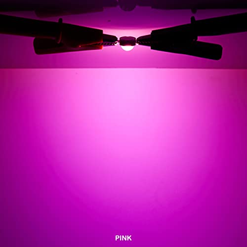 CHANZON 10 pcs High Power Led Chip on Board 3W Pink | (400mA - 500mA / DC 3V - 3.4V / 3 Watt) Super Bright Intensity SMD COB Light Emitter Components Diode Bulb Bead DIY Lighting - color: L) Pink