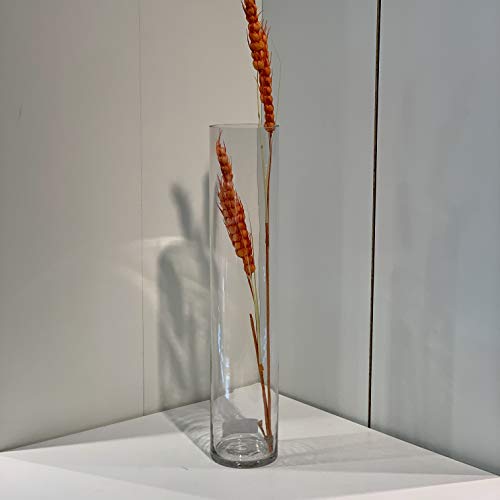 WGVI Quality Thick Weighted Tall Clear Cylinder Glass Vases, 4" W x 20" H, Flower Arrangement Floating Candle Holders Wedding Centerpieces Event Floral Container Tabletop Display Décor, 1 Piece - size: 4"x20"H