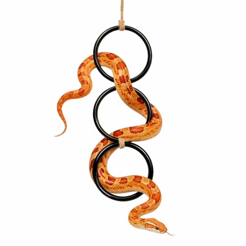Snake Climbing Rings for Ball Python - Enrichment Toys for Corn Snake | Reptiletank Cage Decor Habitat Accessories | Terrarium, Bearded Dragon, Chameleon, Iguana, Gecko, Lizard, Parrot - color: 1PCS - BLACK