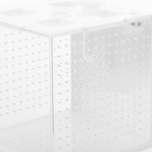 VICASKY Reptile Feeding Box Breeding Terrarium Habitat Container for African Phantom Mantis and Stick Insects Suitable for Insect Breeding