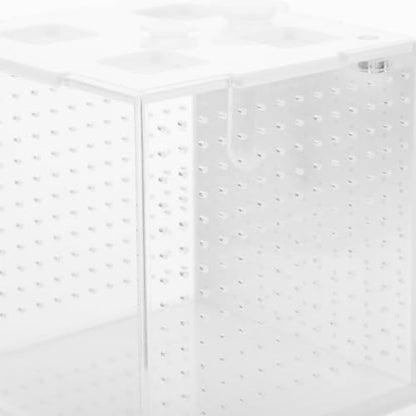 VICASKY Reptile Feeding Box Breeding Terrarium Habitat Container for African Phantom Mantis and Stick Insects Suitable for Insect Breeding