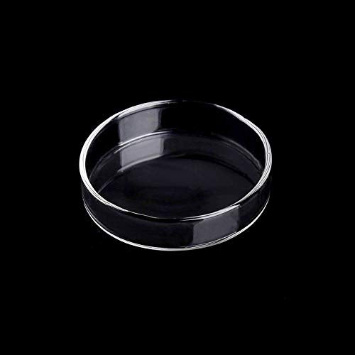 WEAVERBIRD 60mm Aquarium Shrimp Feeder Dish Glass Fish Tank Feeding Bowls Round Clear Dishes Tray - size: 60MM