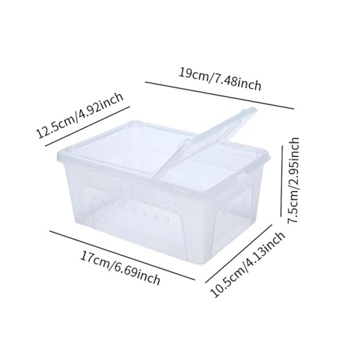 Reptile Reproduction Box Animal Housing Light Cage with Small Vents Control of Turtle Transport Container for Silk Worm, White - color: White
