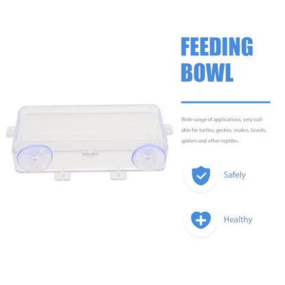 Beaupretty Reptile Feeder Bowl with Suction Cup Acrylic Anti-Escape Feeding Dish for Lizards Geckos and Small Reptiles Terrarium Water and Food Container