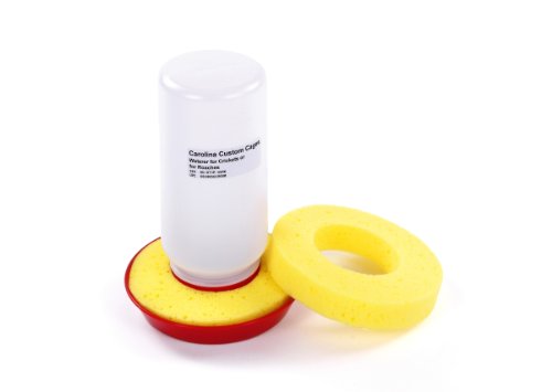 Carolina Cricket/Roach Waterer, Plus 1 Replacement Sponge