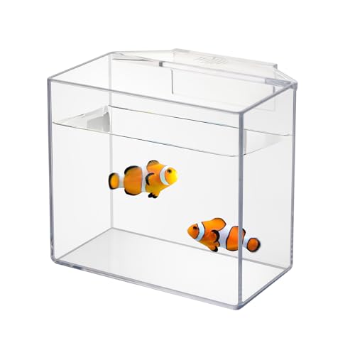Drip Acclimation Container for Fish & Corals – Hanging Acclimation Box for Saltwater & Freshwater Aquariums, Small - size: Small