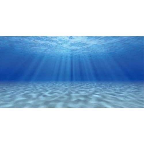 AWERT Undersea Aquarium Backdrop Sunshine Fish Tank Background 36x18 inches | AWERT Ocean Floor Underwater World Vinyl Background - size: 36 x 18 inches
