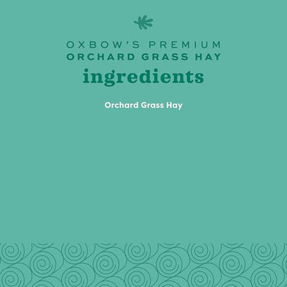 Oxbow Orchard Grass Hay, Rabbit & Guinea Pig Hay, High Fiber for Digestive Health, Grown in the USA, Veterinarian Recommended Small Pet Supplies, for Rabbits, Guinea Pigs, & Chinchillas, 15 oz. | Hand-Sorted, De-Dusted, Oxbow Orchard Grass Hay, Bunny Hay